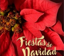 Fiestas de Navidad y Reyes en San Andrés y Sauces 2016 – 2017