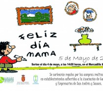 Festividad Día de La Madre, 4 de Mayo de 2013 en El Mercadillo Municipal