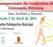 Campeonato de conjuntos de Gimnasia Rítmica. Sábado 5 de Abril de 2014 a partir de las 11:30 Horas
