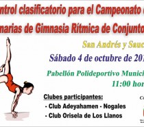 Control Clasificatorío para el Campeonato de Canarias de Gimnasia Rítmica de Conjuntos