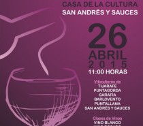 XXVII Cata de Vinos del Norte de La Palma. Domingo 26 de Abril