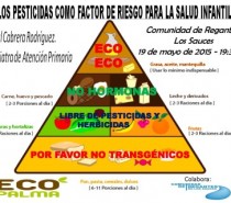 Charla “Los Pesticidas como factor de riesgo para la Salud Infantil”, por Raúl Cabrera Rodríguez