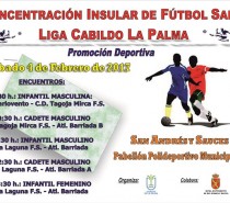 Concentración Insular de Fútbol Sala – Liga Cabildo La Palma