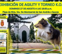 Exhibición de Agility y Torneo K.O. en San Andrés y Sauces